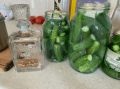 Огурцы на зиму с уникальным ингредиентом: маринуем с водкой