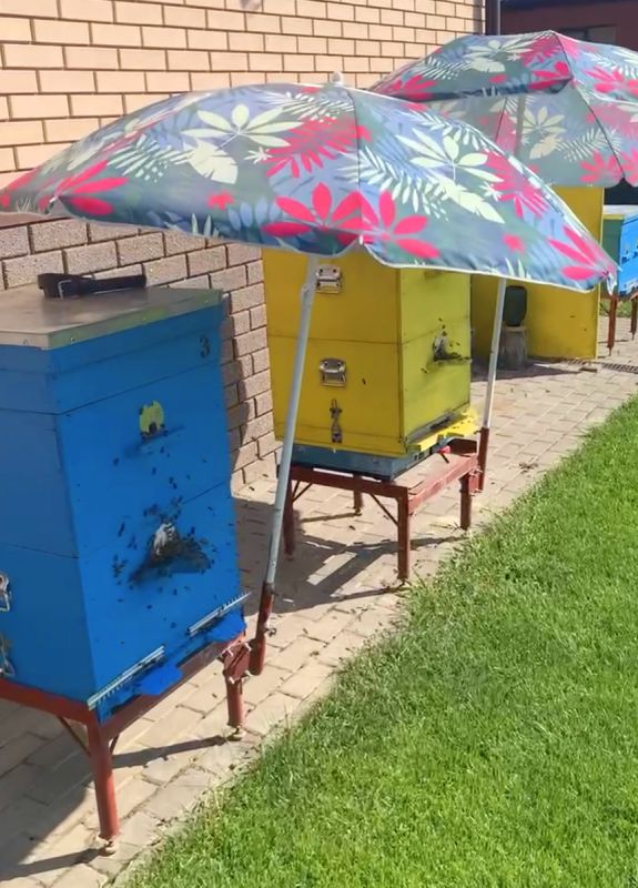 10 ������� �������� �������� ����������� �� �� ��������