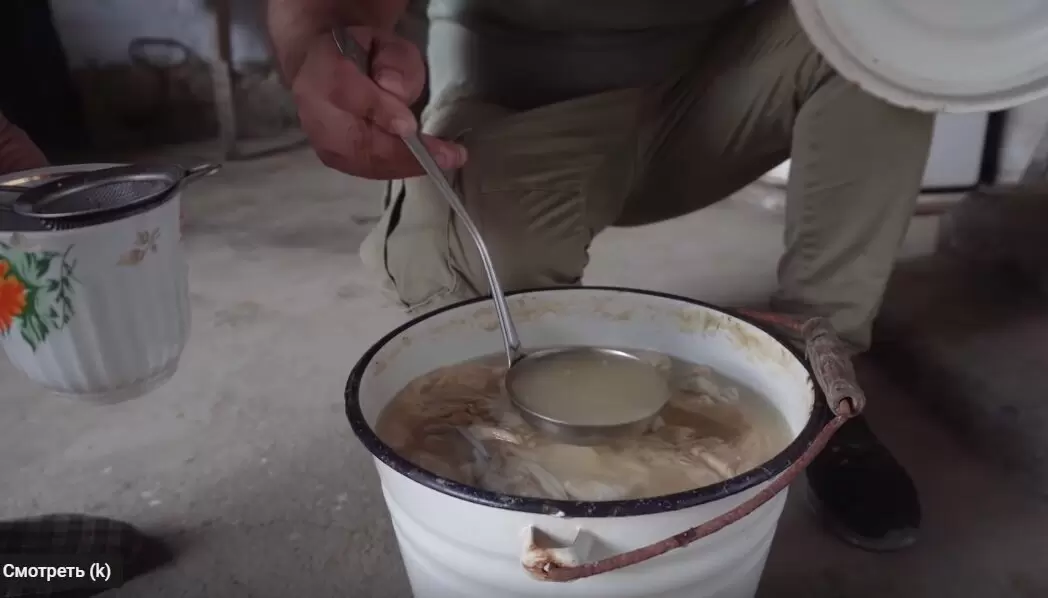 Как приготовить ароматный кавказский сыр в домашних условиях