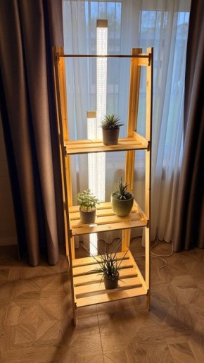 ������ ����: ��� �������� ����������� ������ ������ � ��������