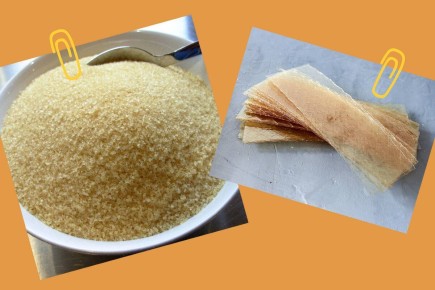 �������: ������ ��������� ���� � �������� � ������ �������