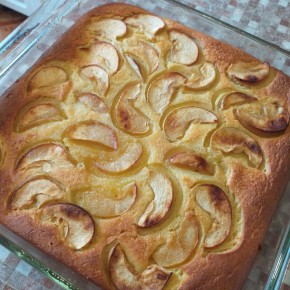 ������ �������� �����: �������� � ������ � ������ ������