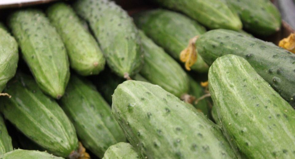Как кризисы цен на продукты помогают избежать новых скачков