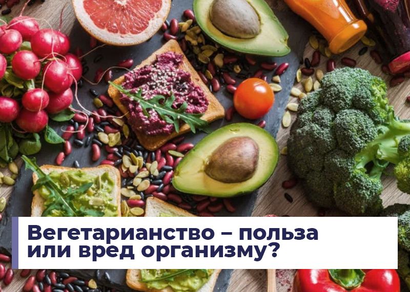 Вегетарианство: плюсы и минусы нового образа жизни