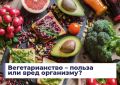 Вегетарианство: плюсы и минусы нового образа жизни