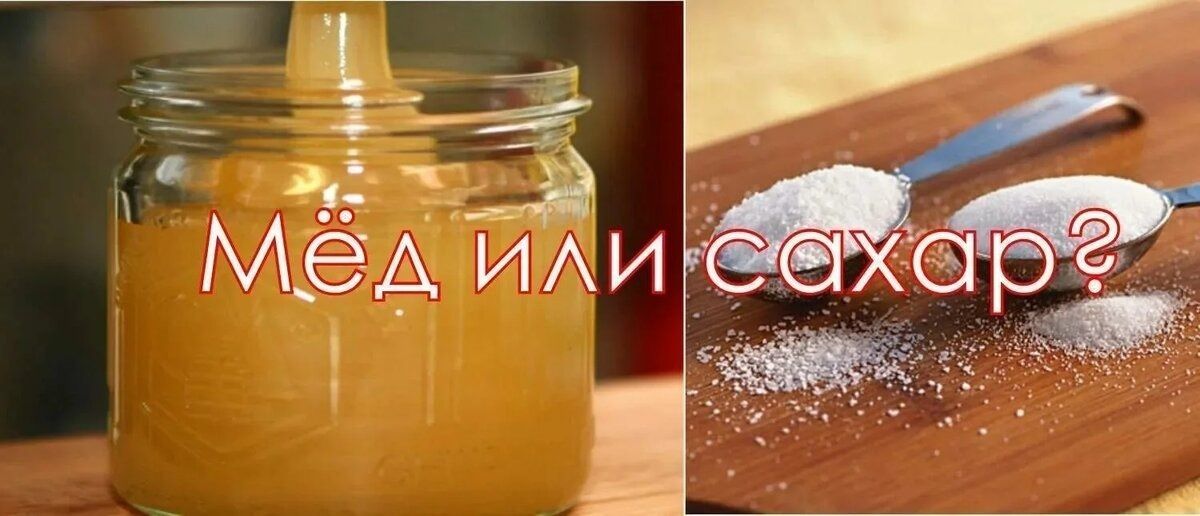 6 отличий мёда от сахара: что опаснее для здоровья после 50