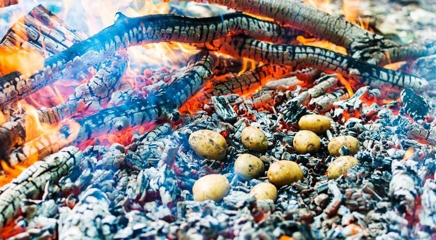Непревзойденные способы запечь картошку на мангале, в углях и духовке