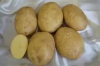 Картофель Терра: золотистая мякоть с непревзойденным вкусом и способностью долго храниться