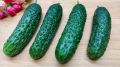 Легкий и ароматный салат из огурцов: быстрое решение для летнего стола